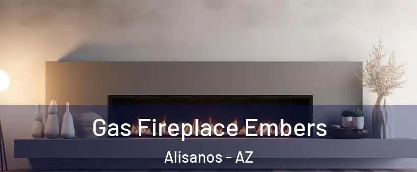 Gas Fireplace Embers Alisanos - AZ