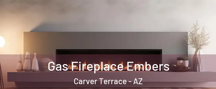 Gas Fireplace Embers Carver Terrace - AZ