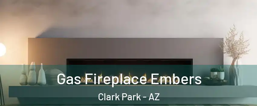 Gas Fireplace Embers Clark Park - AZ