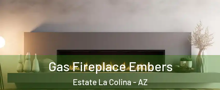 Gas Fireplace Embers Estate La Colina - AZ