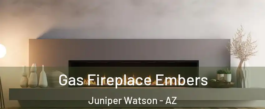 Gas Fireplace Embers Juniper Watson - AZ