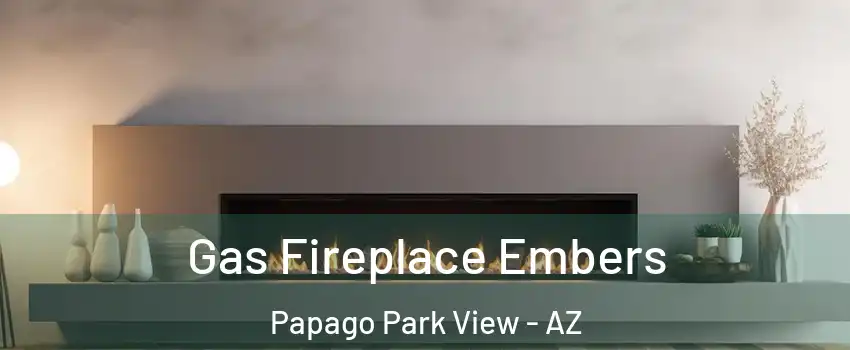 Gas Fireplace Embers Papago Park View - AZ