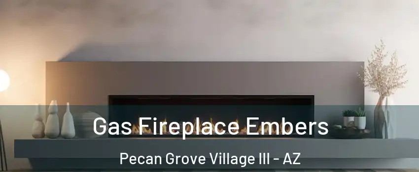 Gas Fireplace Embers Pecan Grove Village III - AZ