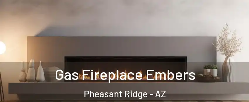Gas Fireplace Embers Pheasant Ridge - AZ