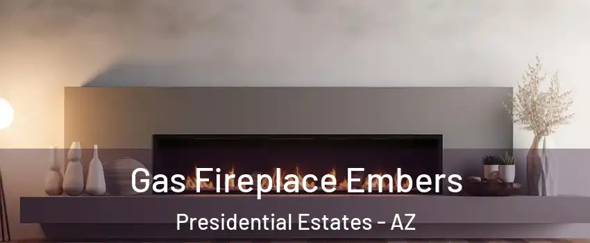 Gas Fireplace Embers Presidential Estates - AZ