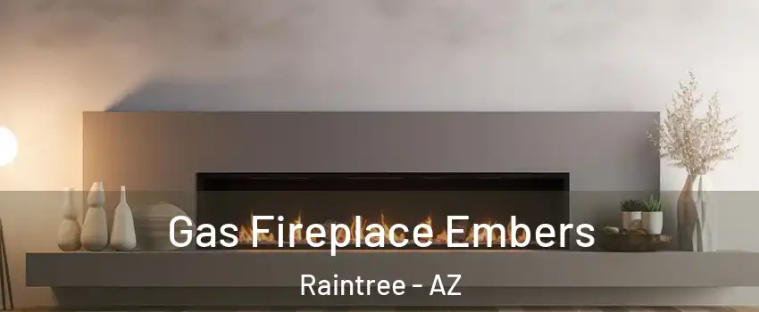 Gas Fireplace Embers Raintree - AZ