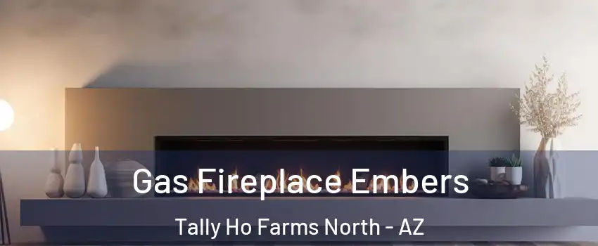 Gas Fireplace Embers Tally Ho Farms North - AZ