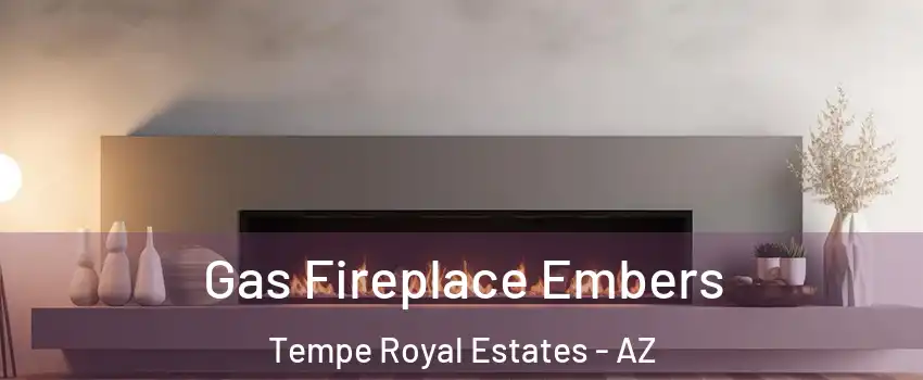 Gas Fireplace Embers Tempe Royal Estates - AZ