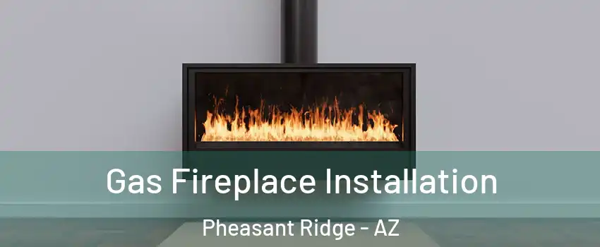 Gas Fireplace Installation Pheasant Ridge - AZ