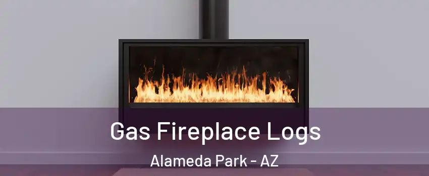 Gas Fireplace Logs Alameda Park - AZ