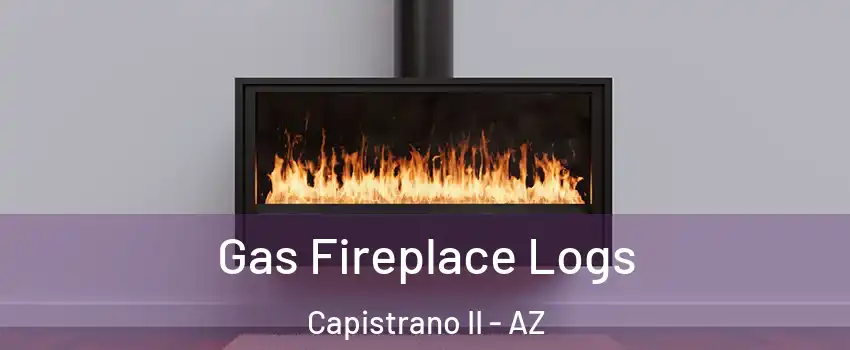 Gas Fireplace Logs Capistrano II - AZ