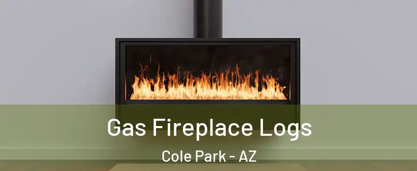 Gas Fireplace Logs Cole Park - AZ