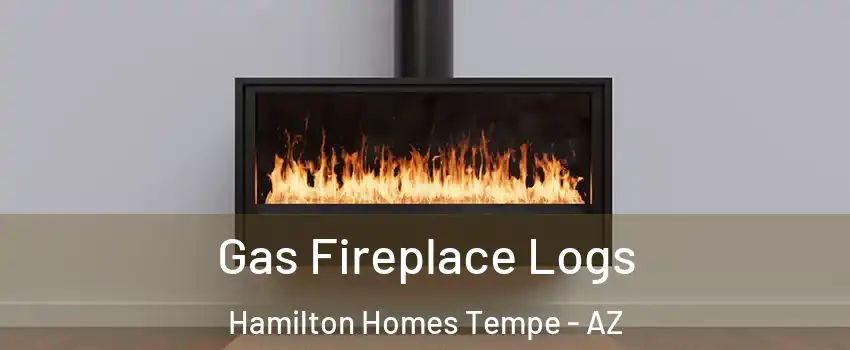 Gas Fireplace Logs Hamilton Homes Tempe - AZ