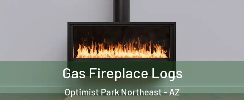 Gas Fireplace Logs Optimist Park Northeast - AZ