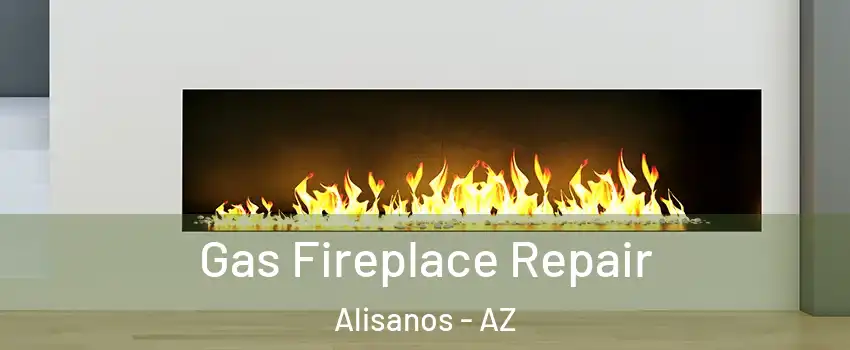 Gas Fireplace Repair Alisanos - AZ