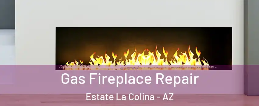 Gas Fireplace Repair Estate La Colina - AZ
