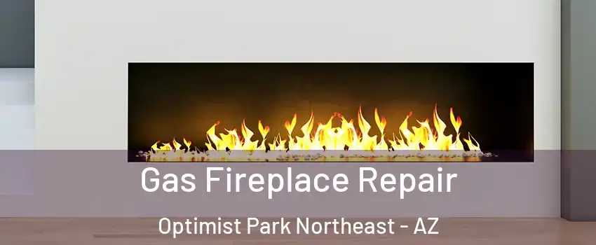 Gas Fireplace Repair Optimist Park Northeast - AZ