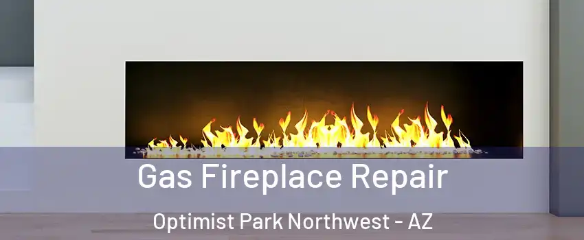 Gas Fireplace Repair Optimist Park Northwest - AZ
