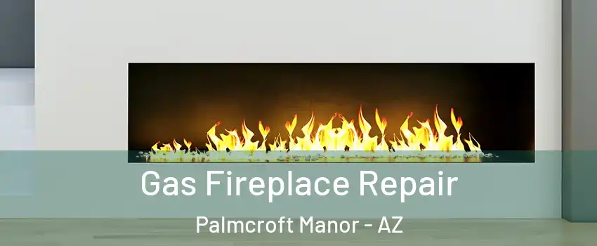 Gas Fireplace Repair Palmcroft Manor - AZ