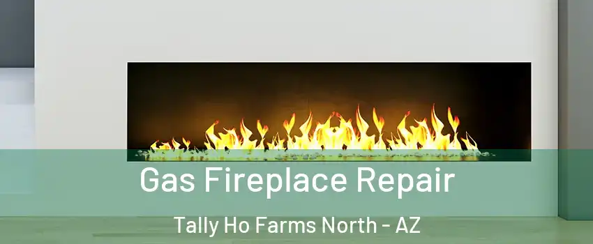 Gas Fireplace Repair Tally Ho Farms North - AZ