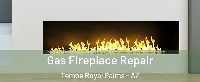 Gas Fireplace Repair Tempe Royal Palms - AZ