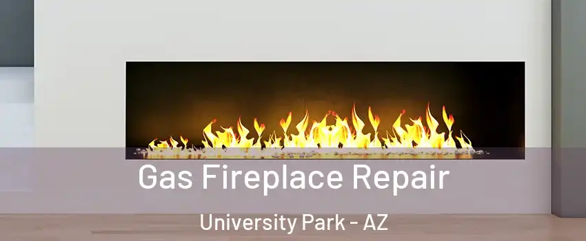 Gas Fireplace Repair University Park - AZ