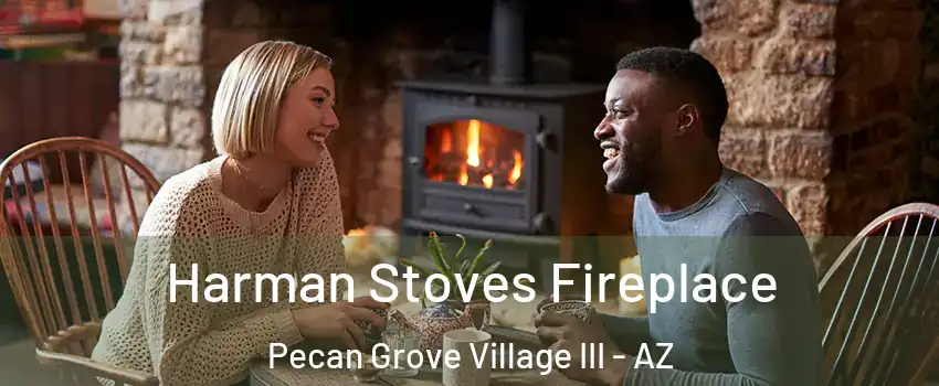 Harman Stoves Fireplace Pecan Grove Village III - AZ