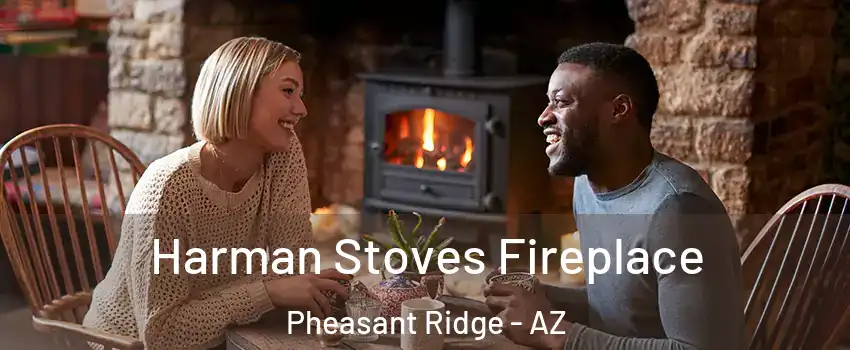 Harman Stoves Fireplace Pheasant Ridge - AZ
