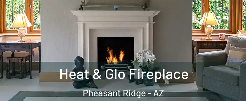Heat & Glo Fireplace Pheasant Ridge - AZ