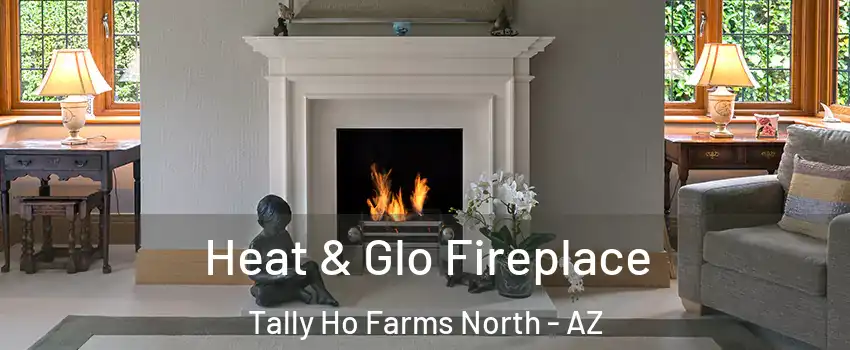 Heat & Glo Fireplace Tally Ho Farms North - AZ