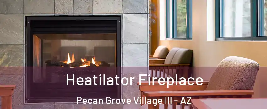 Heatilator Fireplace Pecan Grove Village III - AZ