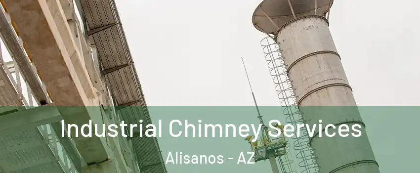 Industrial Chimney Services Alisanos - AZ
