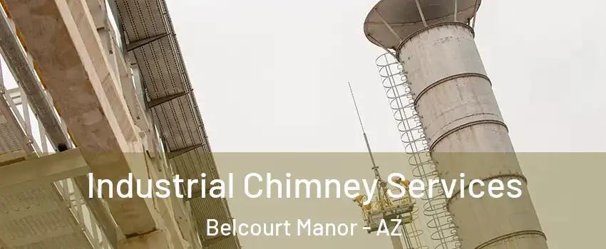 Industrial Chimney Services Belcourt Manor - AZ