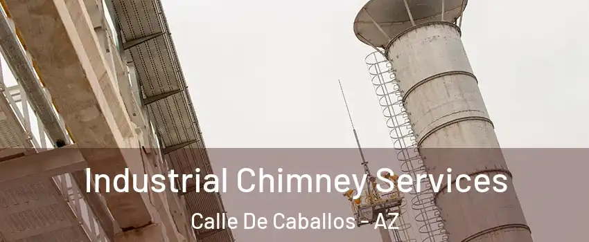 Industrial Chimney Services Calle De Caballos - AZ
