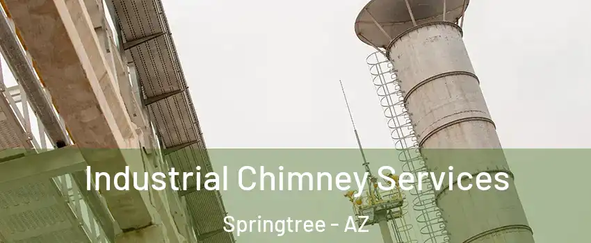Industrial Chimney Services Springtree - AZ