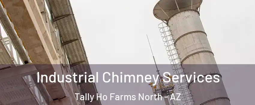 Industrial Chimney Services Tally Ho Farms North - AZ