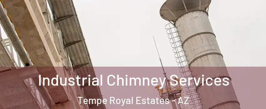 Industrial Chimney Services Tempe Royal Estates - AZ