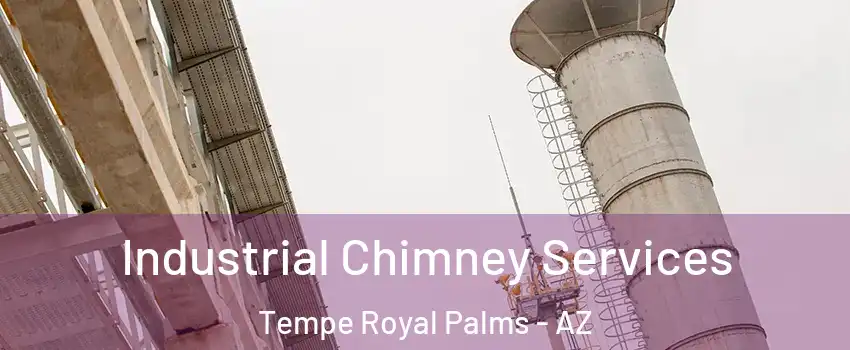 Industrial Chimney Services Tempe Royal Palms - AZ