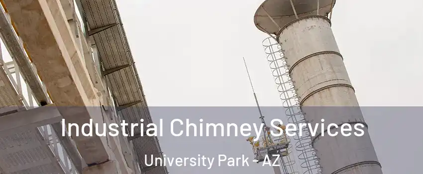 Industrial Chimney Services University Park - AZ