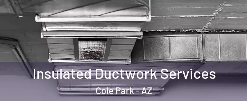 Insulated Ductwork Services Cole Park - AZ