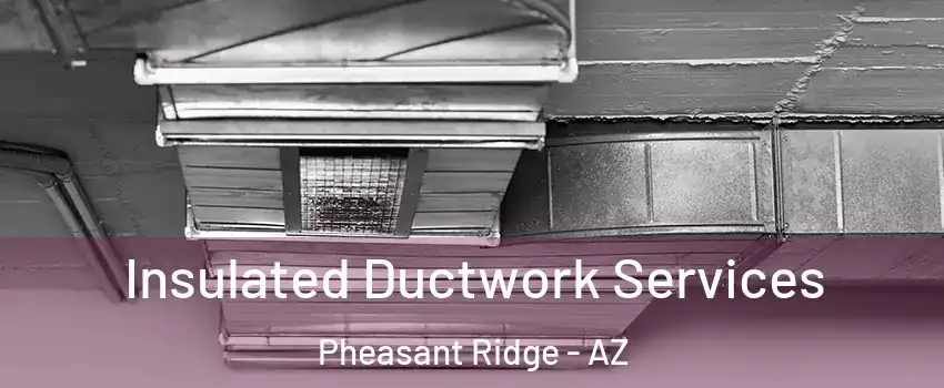 Insulated Ductwork Services Pheasant Ridge - AZ