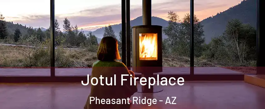 Jotul Fireplace Pheasant Ridge - AZ