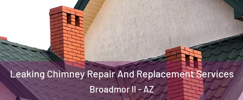 Leaking Chimney Repair And Replacement Services Broadmor II - AZ