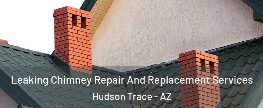 Leaking Chimney Repair And Replacement Services Hudson Trace - AZ