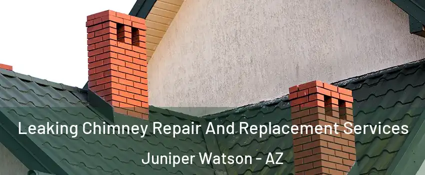 Leaking Chimney Repair And Replacement Services Juniper Watson - AZ
