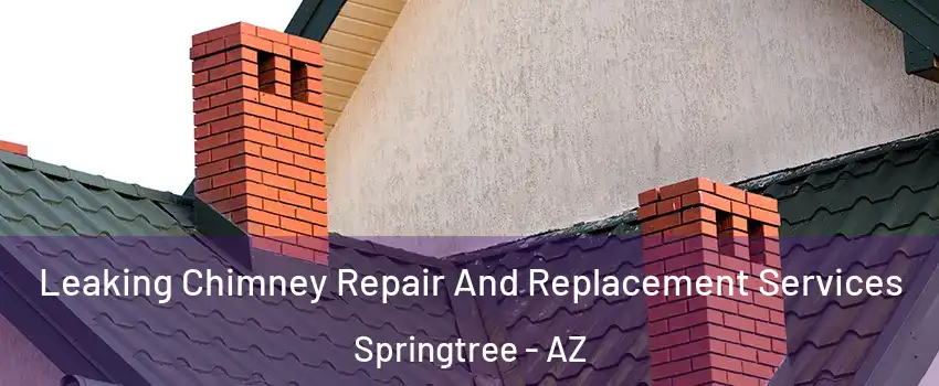 Leaking Chimney Repair And Replacement Services Springtree - AZ