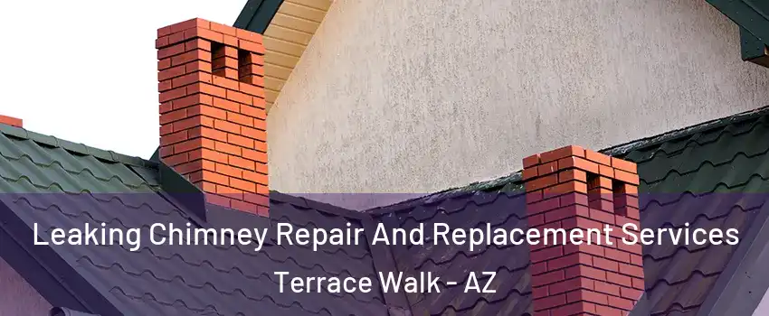 Leaking Chimney Repair And Replacement Services Terrace Walk - AZ