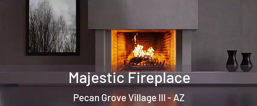 Majestic Fireplace Pecan Grove Village III - AZ