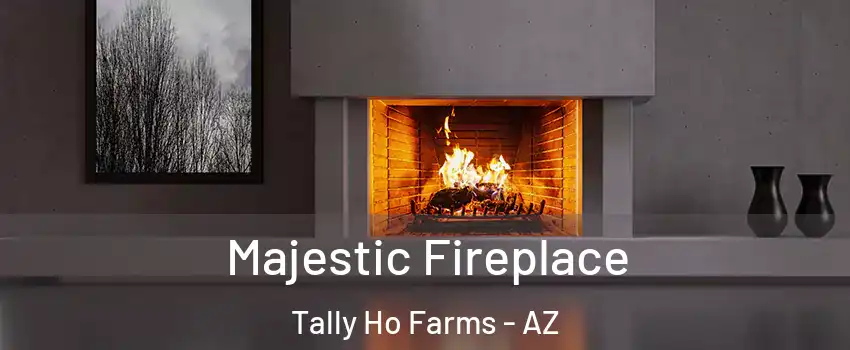 Majestic Fireplace Tally Ho Farms - AZ