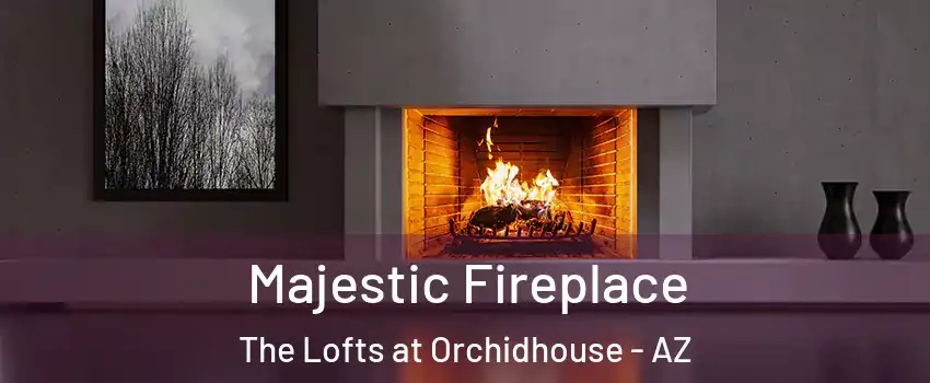 Majestic Fireplace The Lofts at Orchidhouse - AZ